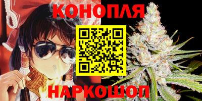 сатива Балаково