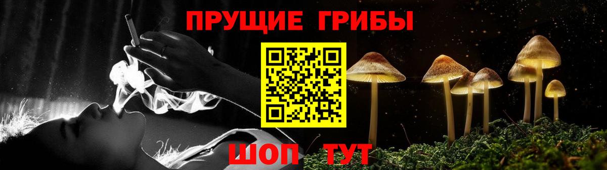 Грязи  Псилоцибиновые грибы Magic Shrooms  Галлюциногенные грибы Psilocybe  закладки  Вход с VPN 